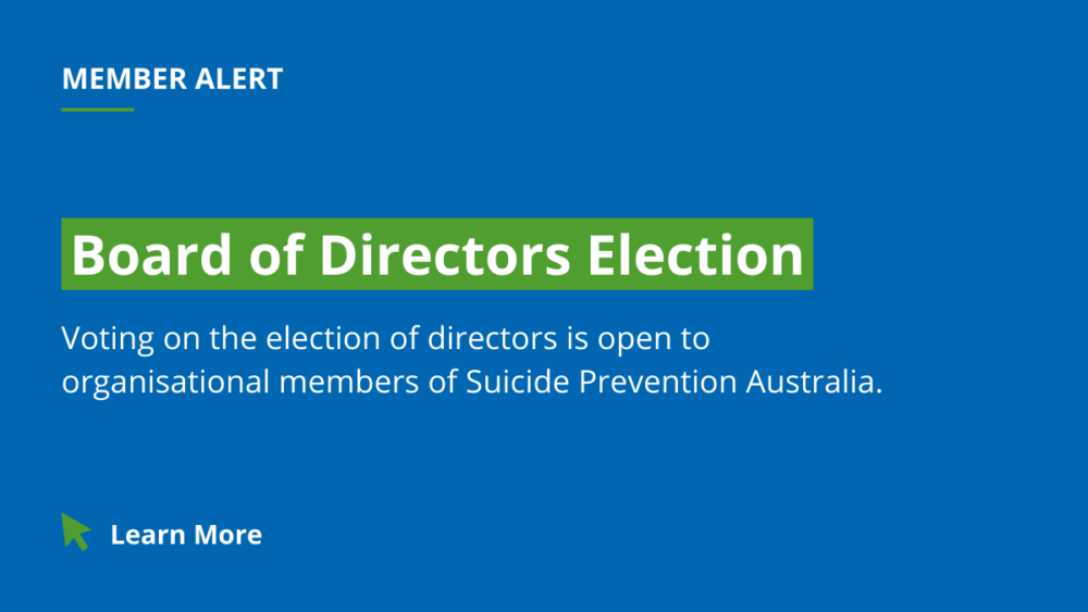 Director Election
