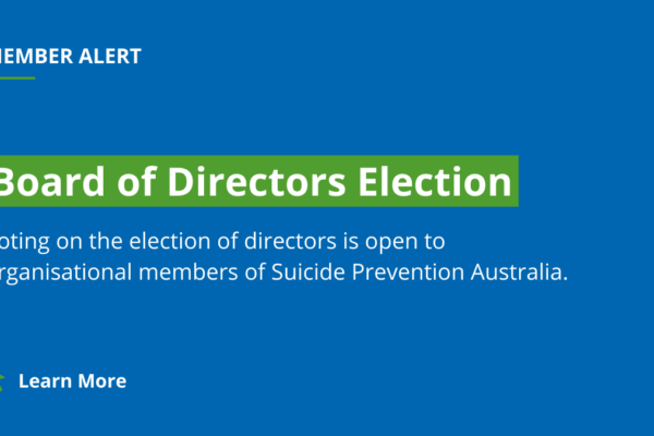 Director Election