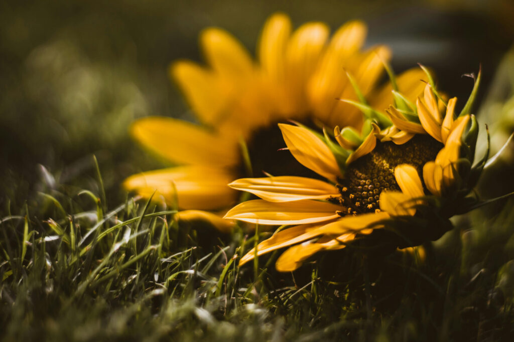 Wesley LifeForce Suicide Memorial Service – Sydney