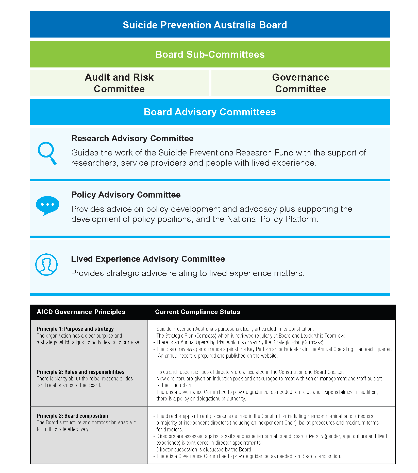 SPA Governance Structure table